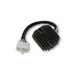 Boitier �lectronique electrosport r�gulateur