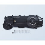 Engrenage polini carter de transmission