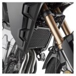 Grille de radiateur givi inox noir