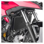 Grille de radiateur givi inox noir