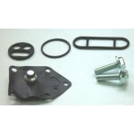 Kit reconditionnement robinet d'essence tour max