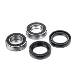 Kit roulements de roue + spys factory links avant