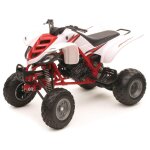 Miniature newray quad yamaha raptor 660r - echelle 1 / 12� bleu