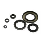 Pochette de joints centauro spys bas - moteur