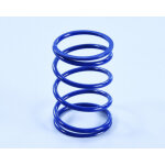 Ressorts d'embrayage polini