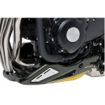 Sabot moteur ermax kawasaki z900 rs noir / argent / or