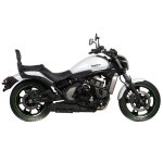 Sissy bar shad custom