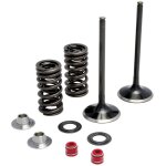 Soupape d'�chappement moose racing kit complet