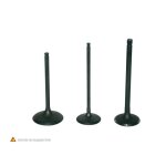 Soupape d'�chappement prox acier