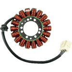 Stator d'allumage rick's motosport electric 21120179