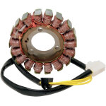 Stator d'allumage rick's motosport electric 21120756