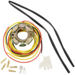 Stator d'allumage rick's motosport electric 21120955