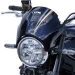 T�te de fourche ermax kawasaki z 900 rs noir / argent / or