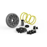 Variateur malossi multivar