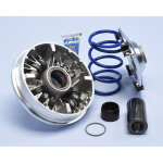 Variateur polini hi - speed 12 galets