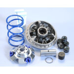 Variateur polini hi - speed