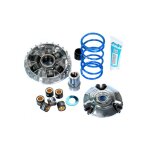 Variateur polini maxi speed