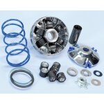 Variateur polini variator