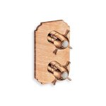 Facade externe chambord laiton thermo 2 sorties or rose brosse pvd robinetterie chambord - cristina ondyna ...