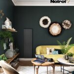 Radiateur fonte noirot axoo 1000w vertical gris anthracite connect nen3083sehs