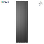 Radiateur fonte noirot beladoo nativ 1000w vertical gris anthracite connect intuis m153223