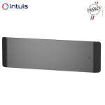 Radiateur fonte noirot calidoo nativ plinthe 1000w anthracite connect intuis m152423