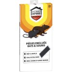 2 piges englus contre rat et souris