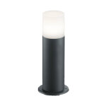Borne extrieure crinita