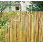 Canisse bambou longueur 3m x h. 1. 5 m