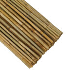 Canisse bambou entier naturel 3 x h 1 m