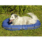 Coussin d'extrieur pour chien bleu taille s m 80 x 60 cm