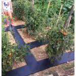 Dalles de jardin 80 cm lot de 4