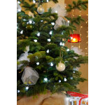 Guirlande cherry led blanc longueur 8 m blachre