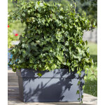 Jardinire toscane l. 80 cm anthracite