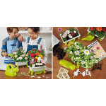 Kid's garden mon jardin de fleurs : marguerites et zinias et cosmos