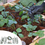 Kit irrigation goutte  goutte pour serre palram