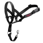 Licol halti taille 4 noir pour dressage chien