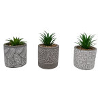 Lot de 3 plantes artificielles pot en ciment 11 cm yala