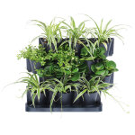 Mur vgtal  poser cascade 12 pots h. 54cm 9l anthracite