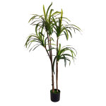 Plante artificielle draceana 160cm boa