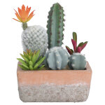 Pot avec 6 cactus artificiels olia l 15 x h. 20 cm terracotta Pot avec 6 cactus artificiels olia l 15 x h. 20 cm terracotta