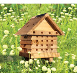 Ruche pour abeilles solitaires en bois