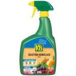 Solution bordelaise uab pae 800ml