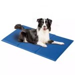 Tapis pour chien rafraichissant 90 x 50 cm rectangulaire bleu