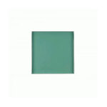 Plateau �maill� vert 30x30 cm
