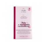 Tablette de chocolat au lait 38% noix de macadamia dolfin 70g