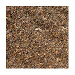 Th noir jardins d'assam gbop inde