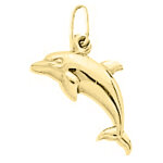 Mon premier bijou pendentif dauphin brillant - or jaune 9ct Mon premier bijou pendentif dauphin brillant - or jaune 9ct