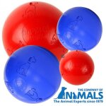 Boomer ball - balle indestructible dimensions - diamtre 20 cm