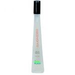 Parfum vanille coco flacon verre